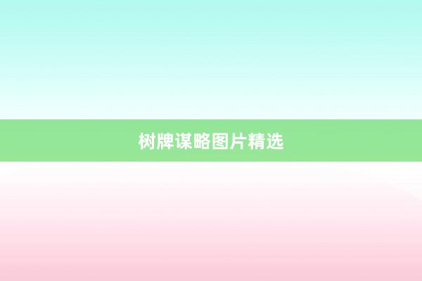 树牌谋略图片精选