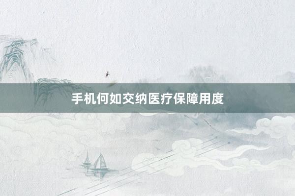手机何如交纳医疗保障用度